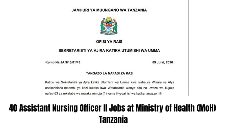 40 Assistant Nursing Officer II Jobs at Ministry of Health (MoH) Tanzania