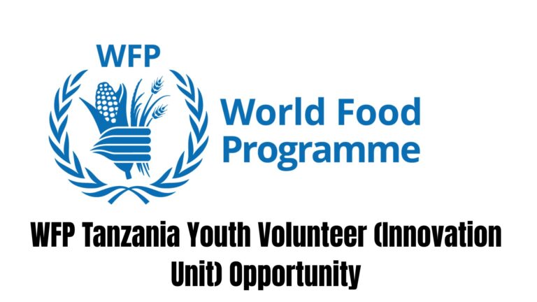 WFP Tanzania Youth Volunteer (Innovation Unit) Opportunity 2026